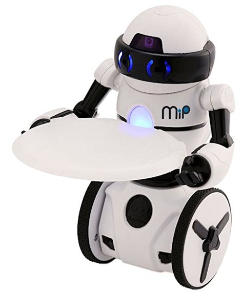 Personal Home Assistant Robot