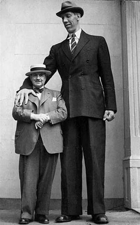 Какая Высота Самого Высокого Человека В Мире