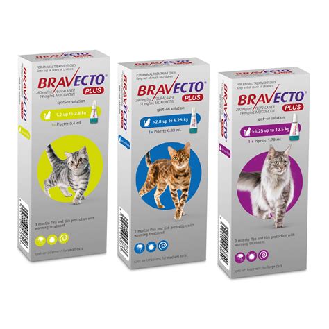Using an easy to use twi. Bravecto Plus for Cats - Old Reynella Vet