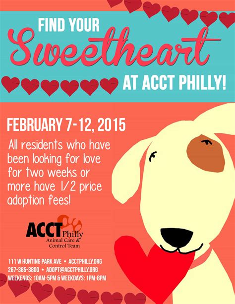 February Adoption Prices And Promotions Acct Philly