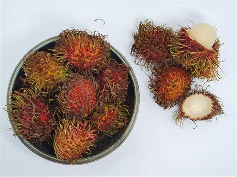 Tropical Strange And Exotic Fruits Youve Never Seen Before Once In