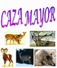 CAZA MAYOR Y MENOR( EL BLOG DE JENNY): fotos de caza mayor y menor