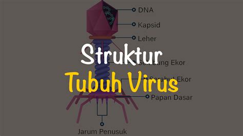 Struktur Tubuh Virus Dan Gambarnya Freedomsiana