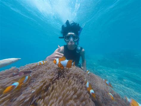 10 Things You Can Do To Protect Coral Reefs On Your Next Trip Greener