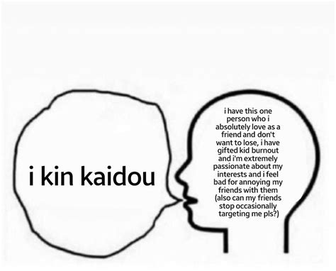 i actually don t know if i kin kaidou or not since i haven t watched tdlosk in a while memes