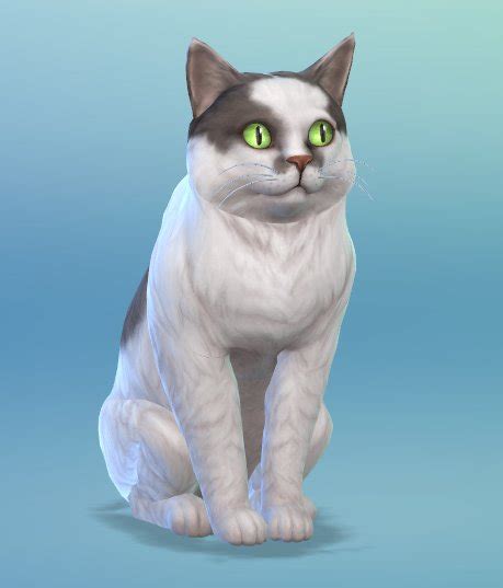 The Sims 4 Psy I Koty Nowe Zdjęcia Zwierzaków Na Dotsim