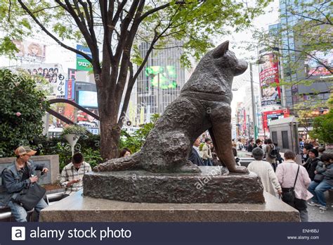 Hachiko Dog Statue Outside Shibuya Station Tokyo Japan Stock Photo