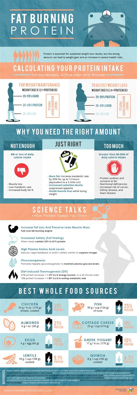 PROTEIN FOR WEIGHT LOSS YOUR SECRET WEAPON EXPLAINED INFOGRAPHIC