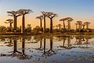 14 Top Sehenswürdigkeiten für Ihren Urlaub in Madagaskar