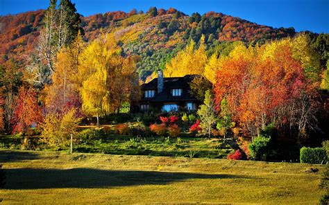 House In Autumn Forest