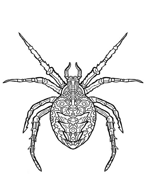 Free Spider coloring pages for Adults. Printable to Download Spider