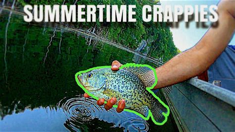 Summertime Crappie Fishing Youtube