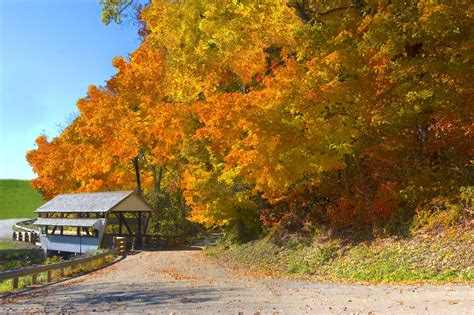 46 Free Wallpaper Of Fall Scenery On Wallpapersafari