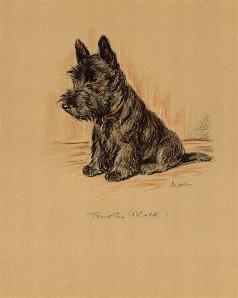 1940 Antique Scottish Terrier Art Print Vintage Lucy Dawson Scottie Dog