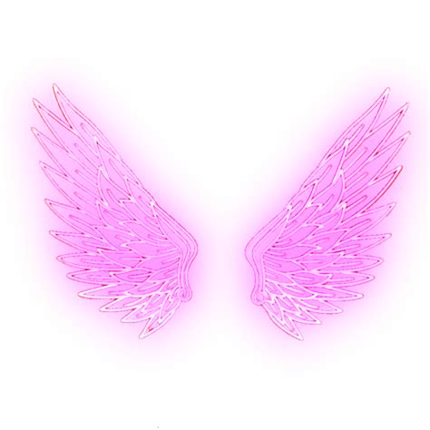asas rosa gold picture frames neon glow room wall decor pink lips wings backgrounds
