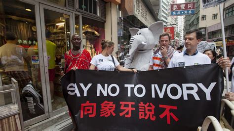 Hong Kong Asias Largest Ivory Market Passes Three Step Plan To Ban