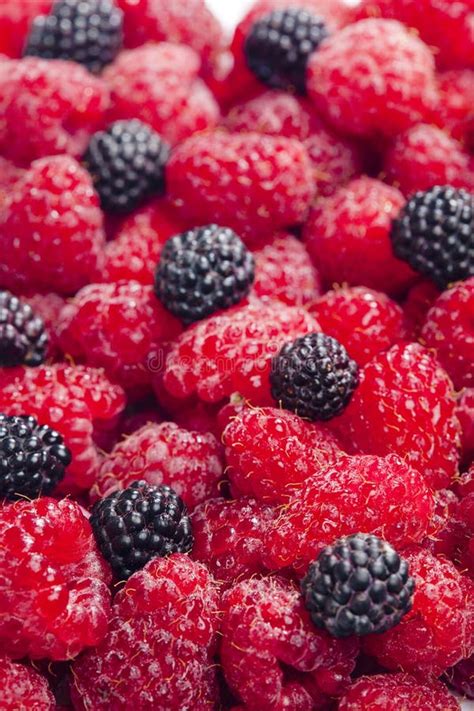 Raspberries And Blackberries Stock Photo Image Of Black Health