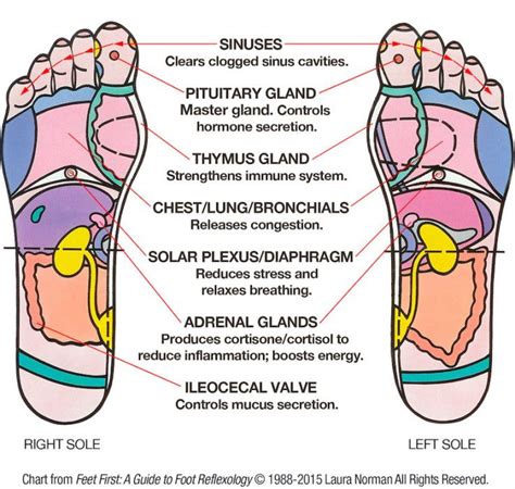 Acupressure Chart For The Foot Check Out The Sinus Point Acupressure