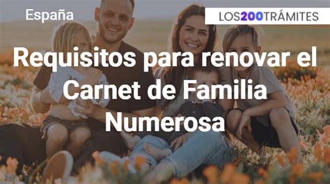 Requisitos Para Renovar El Carnet De Familia Numerosa En Espa A