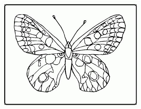 Painted Lady Butterfly Coloring Page - Coloring Home