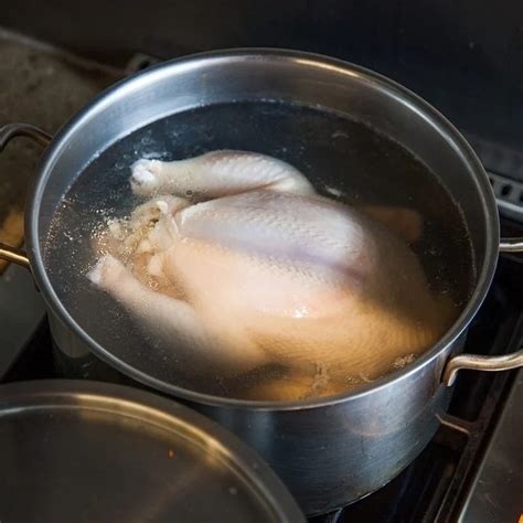 Cara Memasak Ayam Agar Empuk Dan Tidak Amis Kumpulan Cara Terbaru 2022