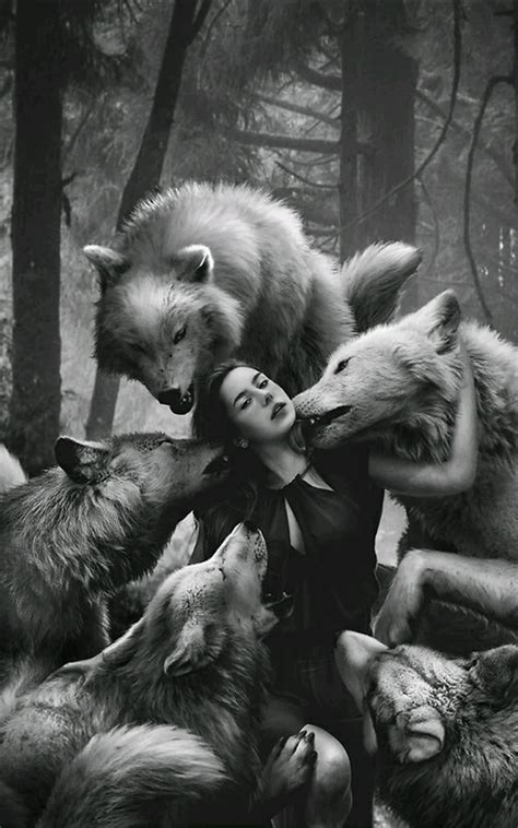 Pin By 𝔸𝕟𝕚𝕒 On 𝔹and𝕎 ℙ𝕙𝕠𝕥𝕠𝕘𝕣𝕒𝕡𝕙𝕪 Wolf Spirit Animal Wolf Love Spirit