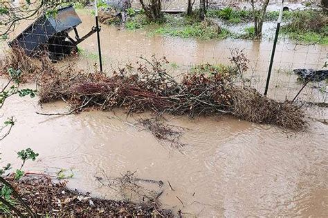 How Animal Sanctuaries Can Survive Severe Weather And Flooding With