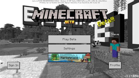 Download Minecraft 117050