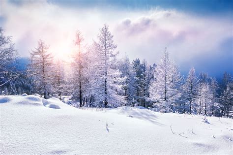 8k Winter Wallpapers Top Free 8k Winter Backgrounds Wallpaperaccess