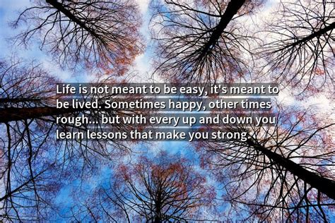 Quote Life Is Not Meant To Be Easy Its Meant To Be Lived