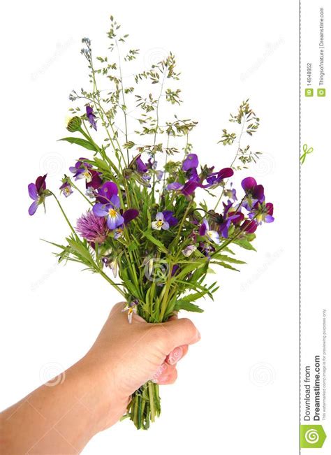 Hang flowers upside down in small bunches. Hand Holding Bouquet Of Flowers Stock Photo - Image of ...