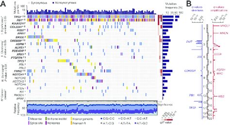 Genomic Alterations In Small Cell Lung Cancer SCLC A Tumor Samples