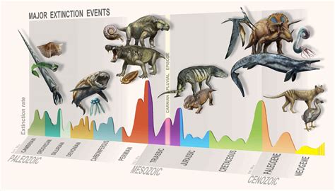 Paleontologists Identify New Mass Extinction Event Paleontology Sci