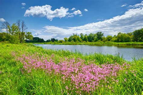 Spring Flowers River Landscape Blue Sky Clouds Countryside Stock Photo