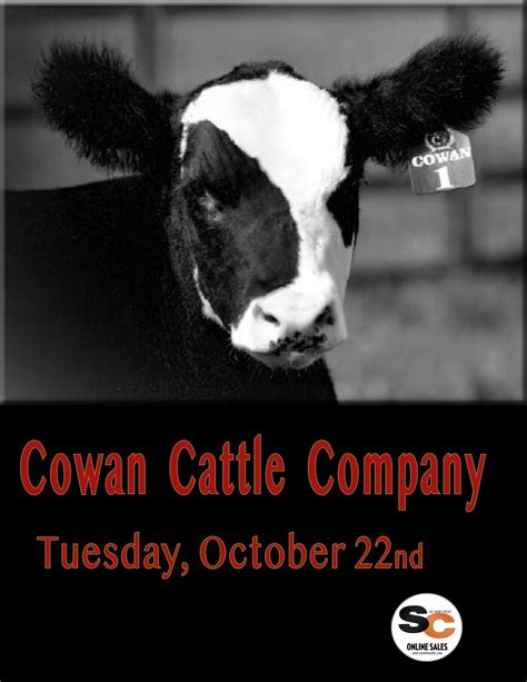 Cowan Cattle Oct 22nd Sale Catalog By Cowan Cattle Company Issuu