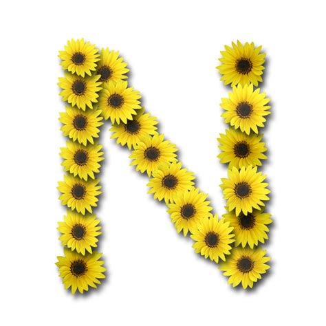 N Letter Transparent Free Png Png All Png All