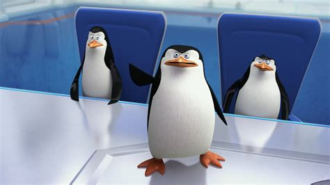 Dreamworks Animation Stock Slides Following Penguins