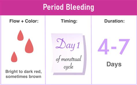 Difference Between Spotting And Period Javatpoint