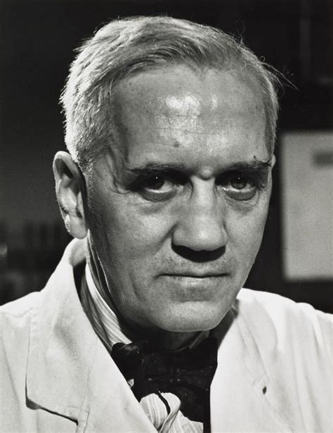 Professor Sir Alexander Fleming 1881 1955 Discoverer Of Penicillin