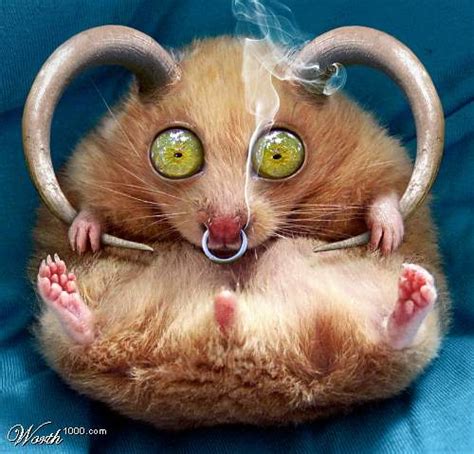 Horned Hamster Happy Halloween By Mzpresto Who Turn Flickr