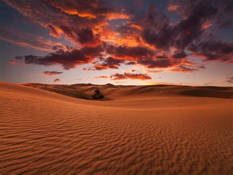 The 11 Most Beautiful Deserts In The World Deserts Of The World