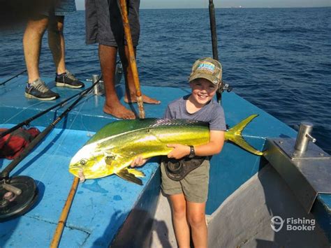 Simply The Best Fishing Charters - Updated 2024 Prices