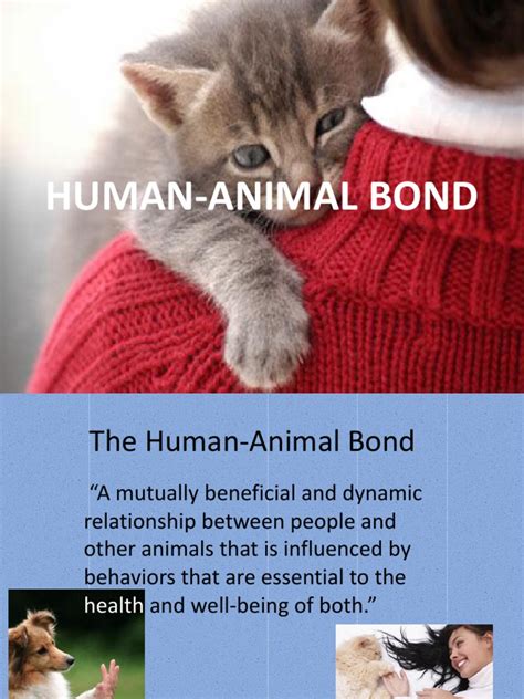 Human Animal Bond Ppt Pet Dogs