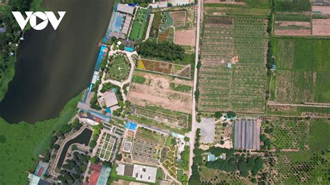Cận Cảnh Bên Trong Khu Vườn Sinh Thái Hoa Bay Bị Tuýt Còi Buộc Phá Dỡ
