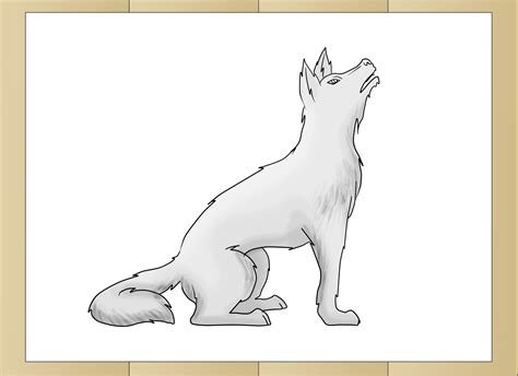 Realistic Wolf Drawing Reference Gwerh