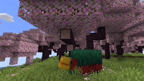 Minecraft Gets A Cherry Blossom Biome In Update 1 20 Video Games On