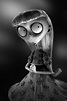 Frankenweenie: facciamo la conoscenza con 5 nuovi personaggi del film ...