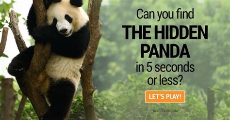 Can You Find The Hidden Panda In 5 Personality Test Quizzclub