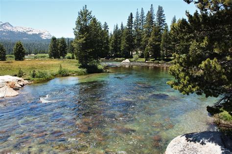 Tuolumne River From Bridge Mindy Flickr