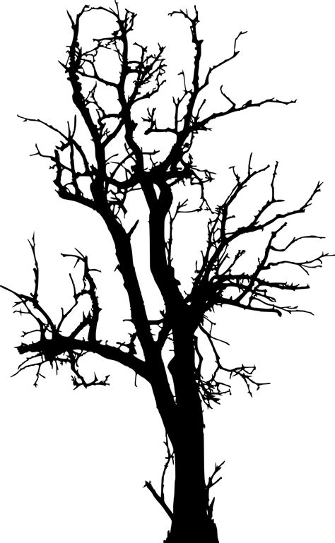 Dead Trees Silhouette